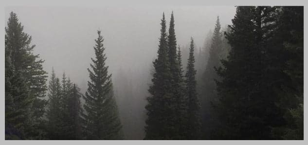 вариант дома под ключ